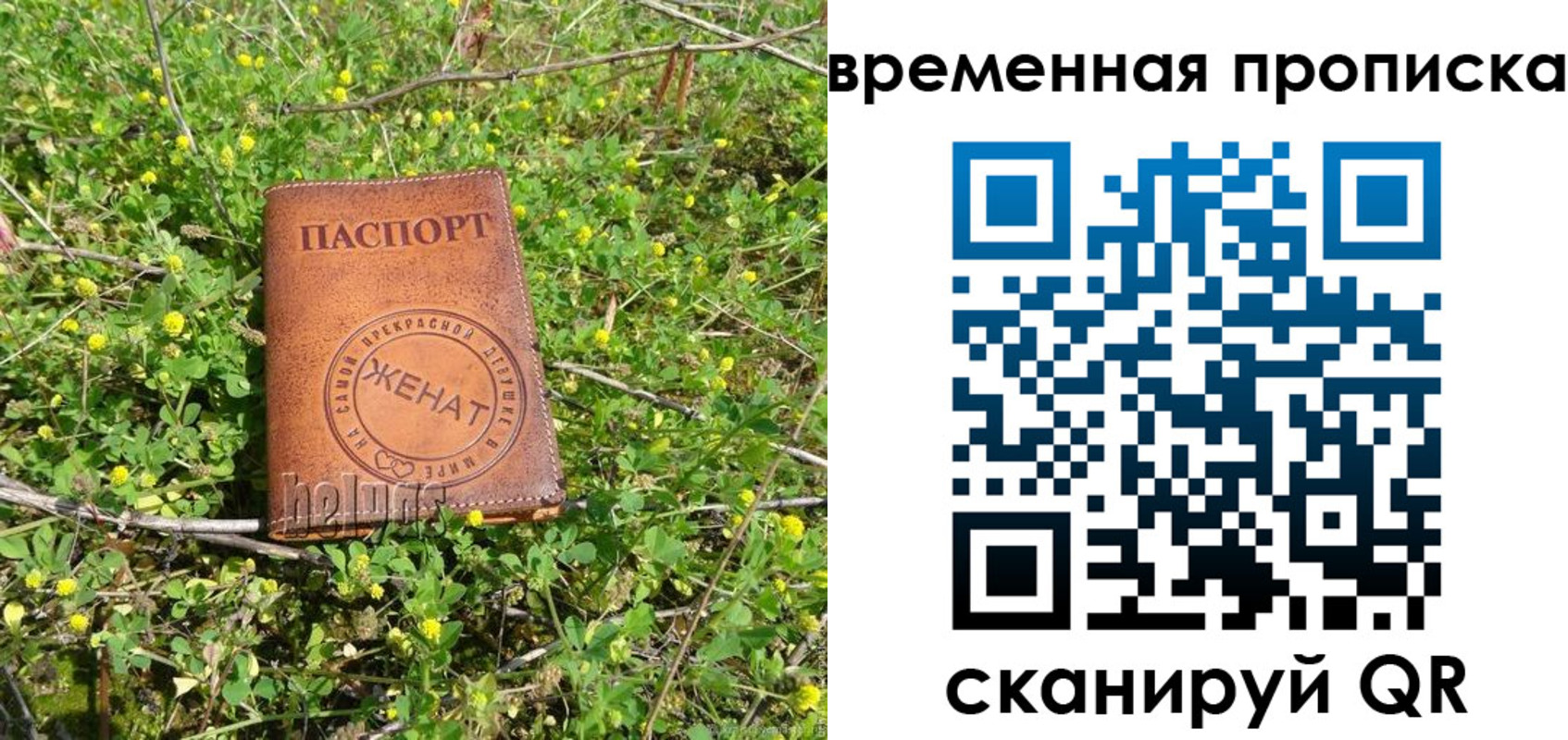 форма 3 в Ялте
